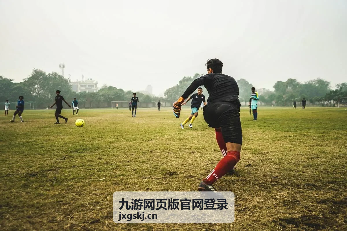 九游网页版官网登录密码找回流程封面