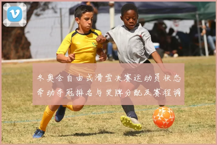 冬奥会自由式滑雪决赛运动员状态牵动夺冠排名与奖牌分配及赛程调整