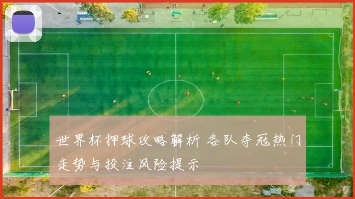 世界杯押球攻略解析 各队夺冠热门走势与投注风险提示